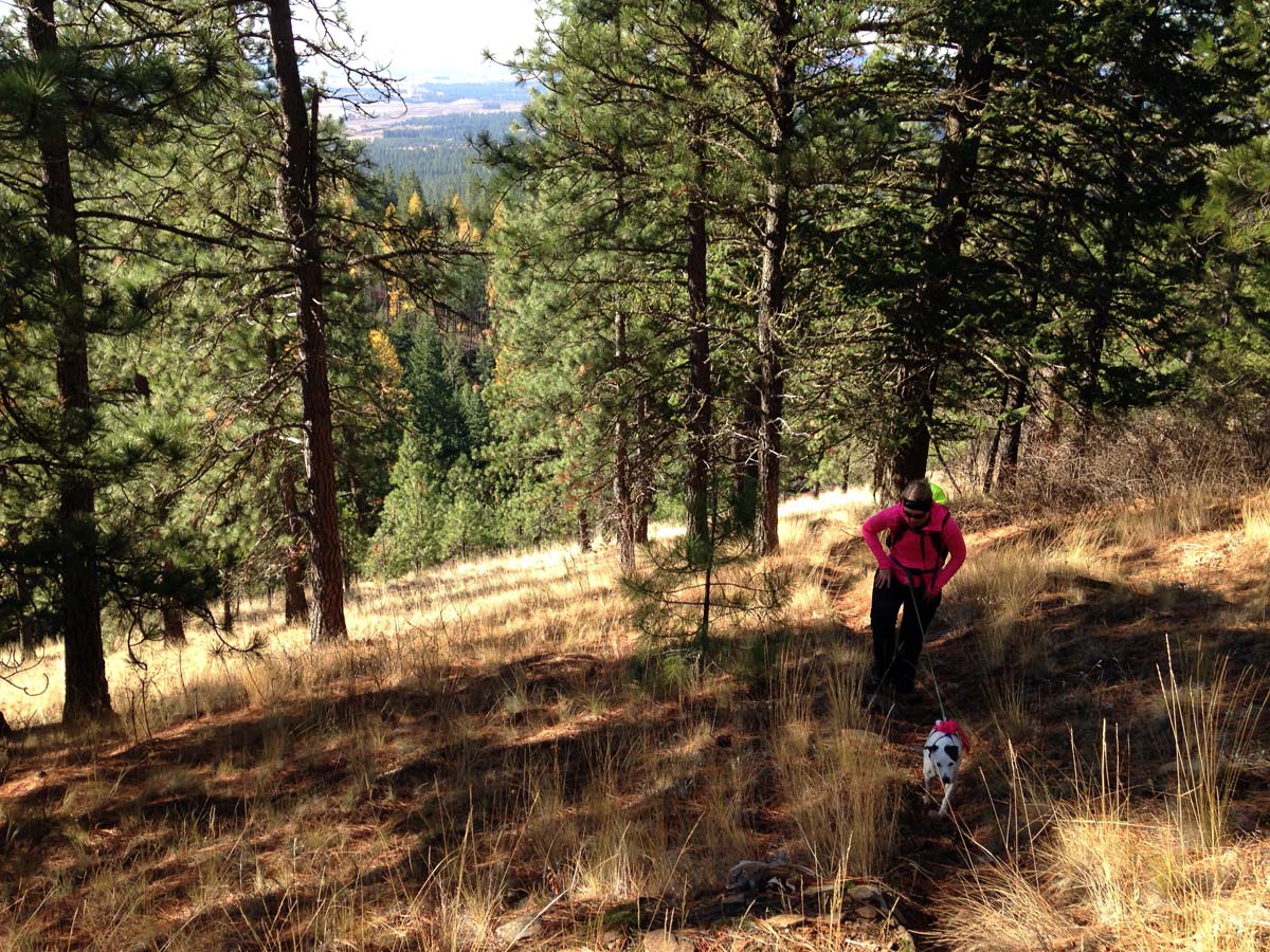 Hiking at Mica Peak